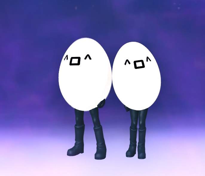 Clothes Egg